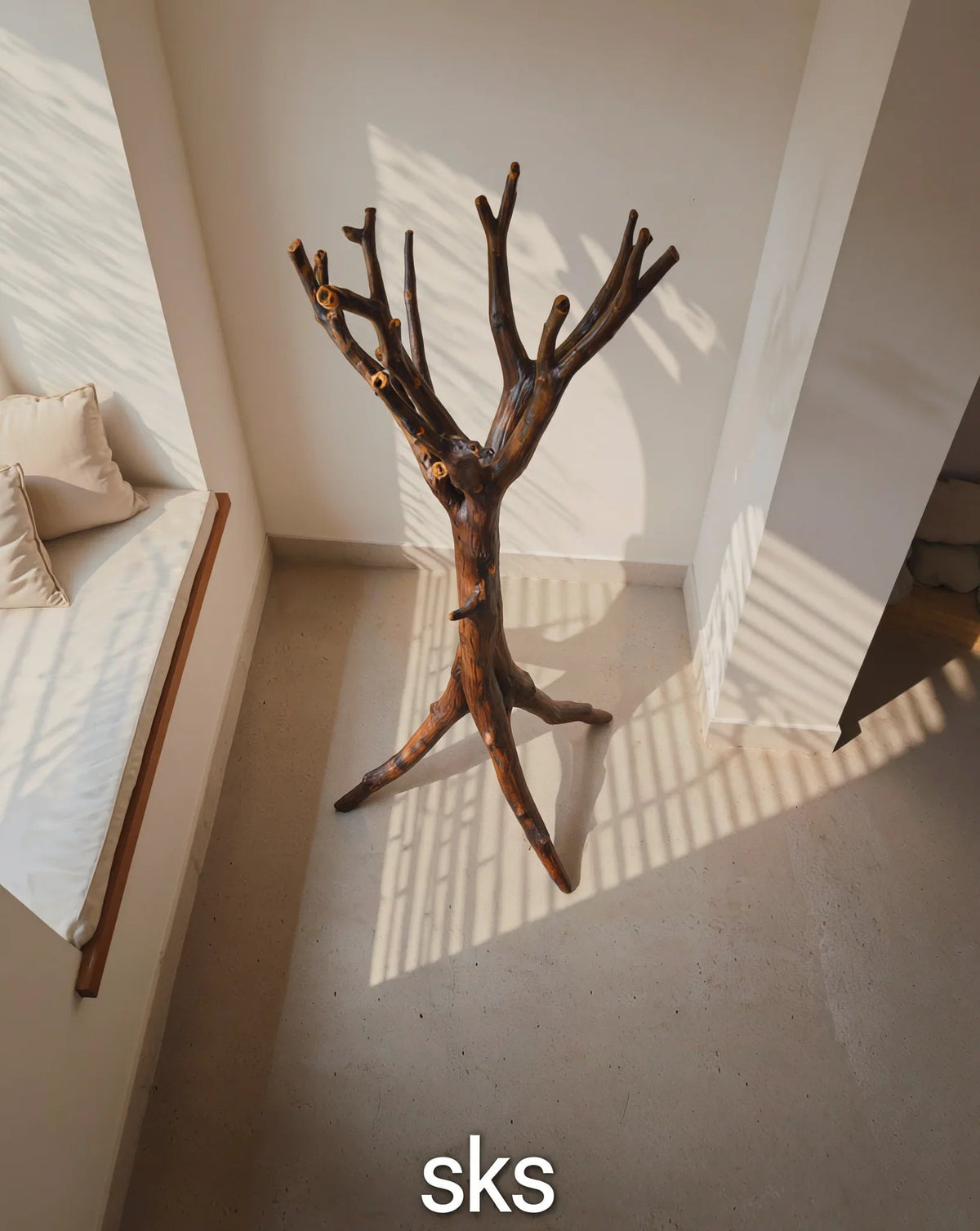 Solid wood tree bookshelf with live edge branches in a sunlit minimalist room