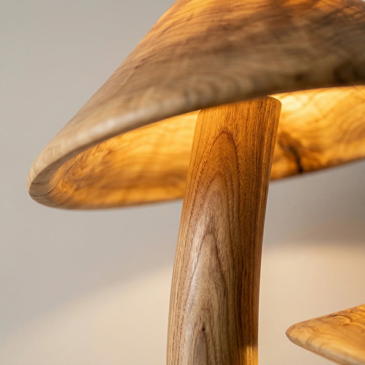 Close-up of glowing wood mushroom floor lamp with sculpted branch stem