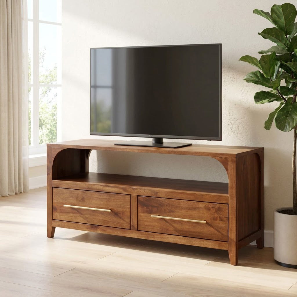 Modern solid wood two-drawer media console styled in a minimalist entertainment space