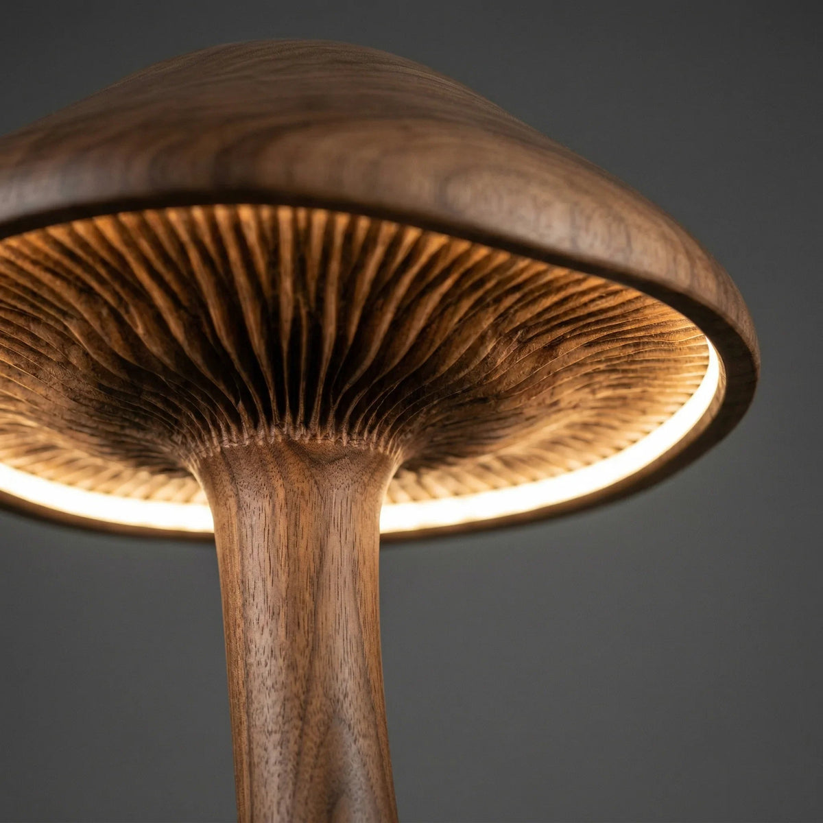 Close-up of solid wood mushroom floor lamp with illuminated gill details
