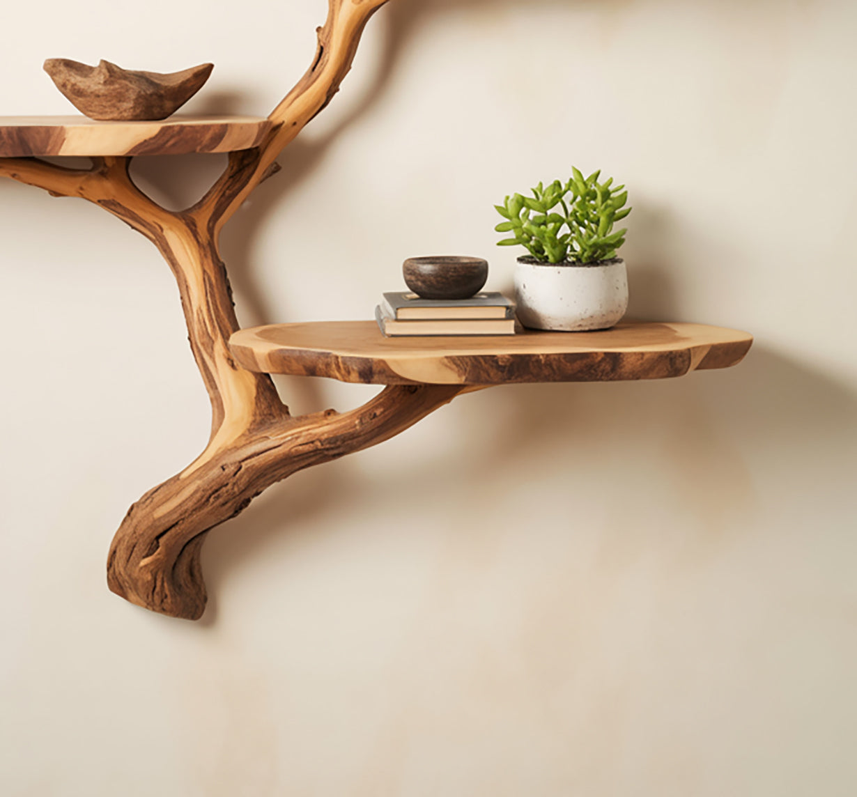 Tree Branch Wall Shelf – Solid Wood Driftwood Floating Bookshelf